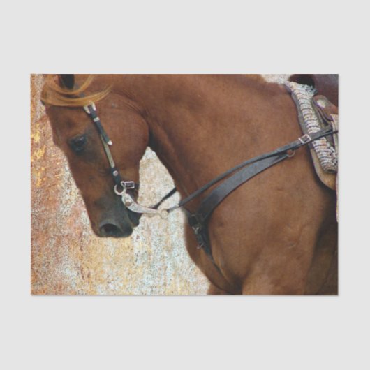 Papier Mousseline Grunge occidentale de cheval d'oseille (Recto)