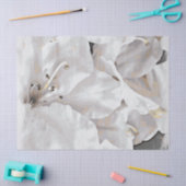 Papier Mousseline *~* Grunge Rustique Azalea Fleurs Blanc Neutre (Artisanat)