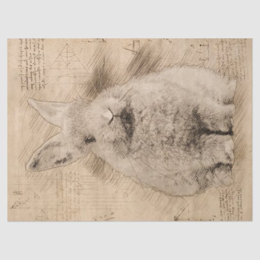 Papier Mousseline Grunge rustique Bunny (Recto)