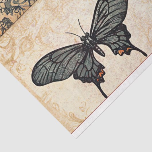 Papier Mousseline Halloween Collecte Fantôme & Découpage Citrouille (Détail)