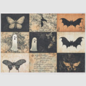 Papier Mousseline Halloween Collecte Fantôme & Découpage Citrouille (Recto)