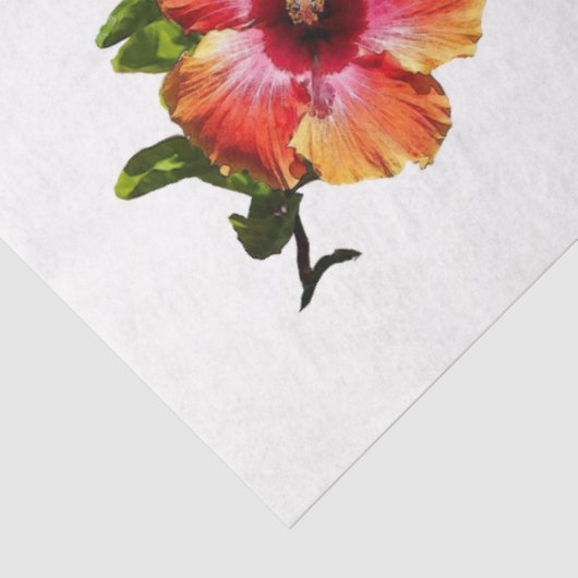 Papier Mousseline HAMbyWG Hawaiin Hibiscus Flower (Détail)