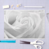 Papier Mousseline HAMbyWG - Noir et blanc, Rose blanche (Artisanat)