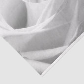 Papier Mousseline HAMbyWG - Noir et blanc, Rose blanche (Détail)