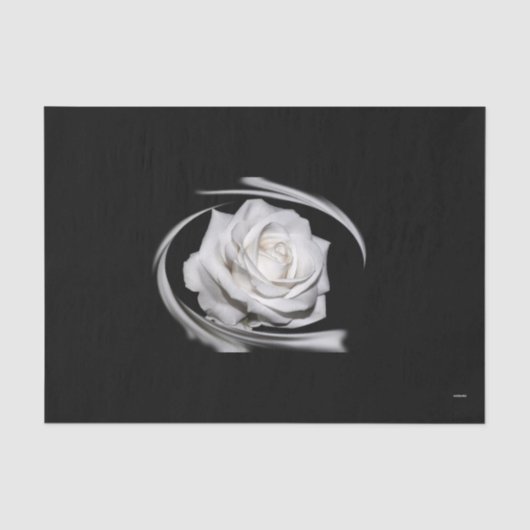 Papier Mousseline HAMbyWG Rose blanche - (Recto)