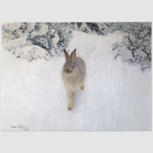 Papier Mousseline Hare d'hiver (lapin), Bruno Liljefors