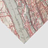 Papier Mousseline Harlem, Yonkers, manoir de Pelham, New York (Détail)