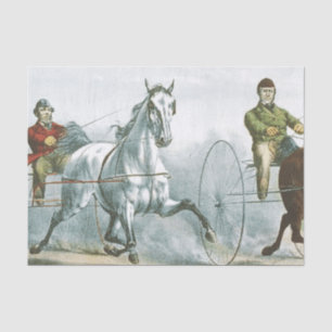 Papier Mousseline HAUT Cheval Poésie