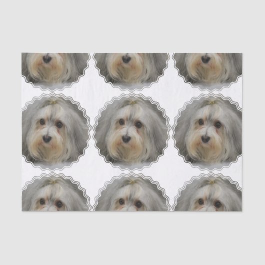 Papier Mousseline Havanese (Recto)