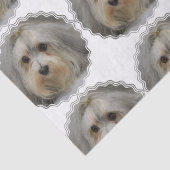 Papier Mousseline Havanese (Détail)