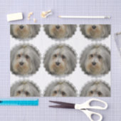 Papier Mousseline Havanese (Artisanat)