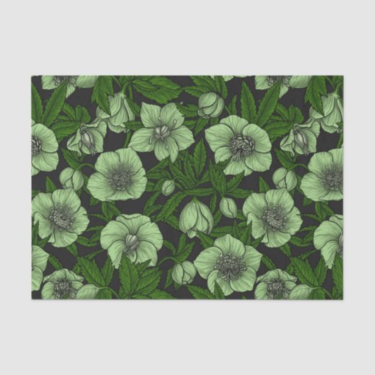 Papier Mousseline Hellebores blancs avec feuille (Recto)