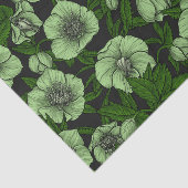 Papier Mousseline Hellebores blancs avec feuille (Détail)