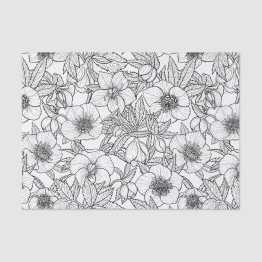 Papier Mousseline Hellebores en noir et blanc (Recto)