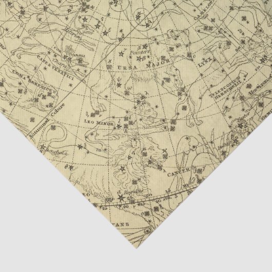 Papier Mousseline Hémisphère céleste du nord (Détail)