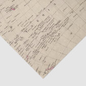 Papier Mousseline Hémisphère de l'ouest 2 (Détail)