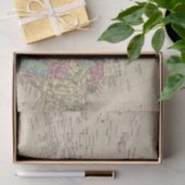 Papier Mousseline Hémisphère de l'ouest 2 (Cadeau)