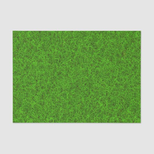Papier Mousseline Herbe (Recto)