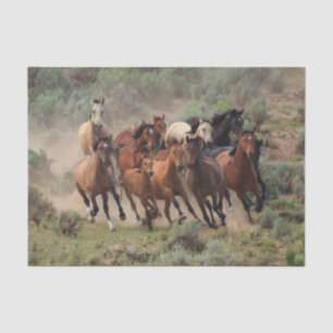 Papier Mousseline Herbe de Mustang