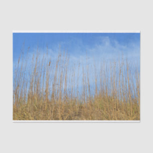 Papier Mousseline Herbe de plage par Shirley Taylor