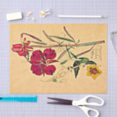 Papier Mousseline Herbe de saule par Charles Mackintosh (Artisanat)