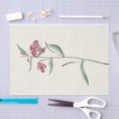 Papier Mousseline Herbe rouge par Mary Vaux Walcott (Artisanat)