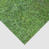 Papier Mousseline Herbe verte (Détail)