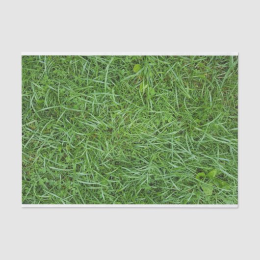 Papier Mousseline Herbe verte (Recto)