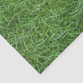 Papier Mousseline Herbe verte (Détail)