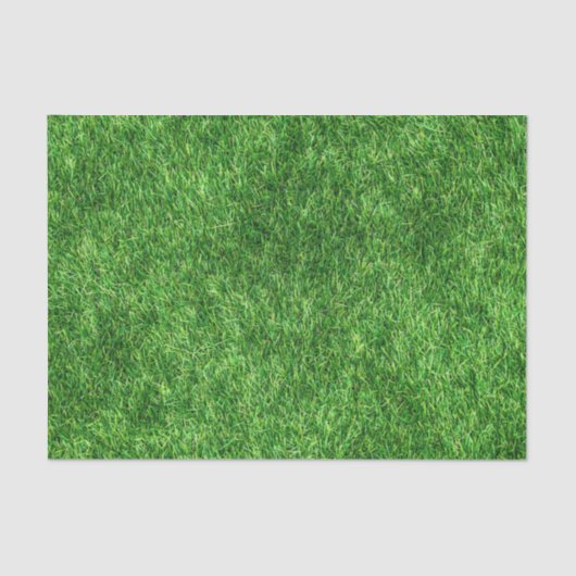 Papier Mousseline Herbe verte (Recto)