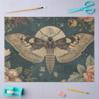 Papier Mousseline Herboristerie Botanique Papillon de Lune