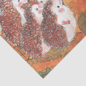 Papier Mousseline Hérisson s'entretenant Illustration (Détail)