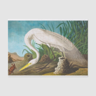 Papier Mousseline Héron blanc américain par John James Audubon
