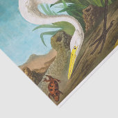 Papier Mousseline Héron blanc américain par John James Audubon (Détail)