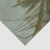Papier Mousseline Héron blanc par John James Audubon (Détail)