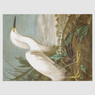 Papier Mousseline Héron blanc par John James Audubon