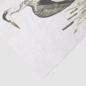 Papier Mousseline Héron de terrain communal d'illustration d'oiseau (Détail)