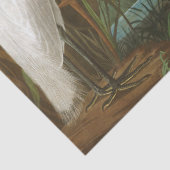 Papier Mousseline Heron violet par John James Audubon (Détail)