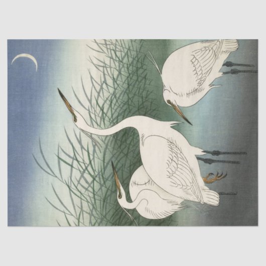 Papier Mousseline Hérons en eau douce par Ohara Koson (Recto)