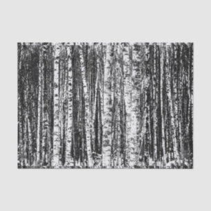 Papier Mousseline Hêtre, blanc et gris fusain / gris