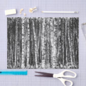 Papier Mousseline Hêtre, blanc et gris fusain / gris (Artisanat)