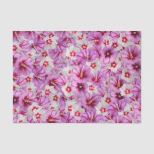 Papier Mousseline Hibiscus