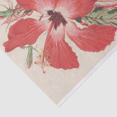 Papier Mousseline Hibiscus (et mieux Ibiscus) Cooperi de Lemaire (Détail)