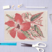 Papier Mousseline Hibiscus (et mieux Ibiscus) Cooperi de Lemaire (Artisanat)
