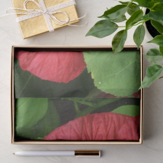Papier Mousseline Hibiscus Flower Bright Magenta (Cadeau)