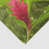 Papier Mousseline Hibiscus rose Fleur tropicale (Détail)