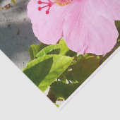 Papier Mousseline Hibiscus rose Fleur tropicale (Détail)