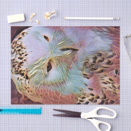 PAPIER MOUSSELINE HIBOU (Artisanat)