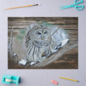 Papier Mousseline Hibou (Artisanat)