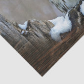 Papier Mousseline Hibou (Détail)